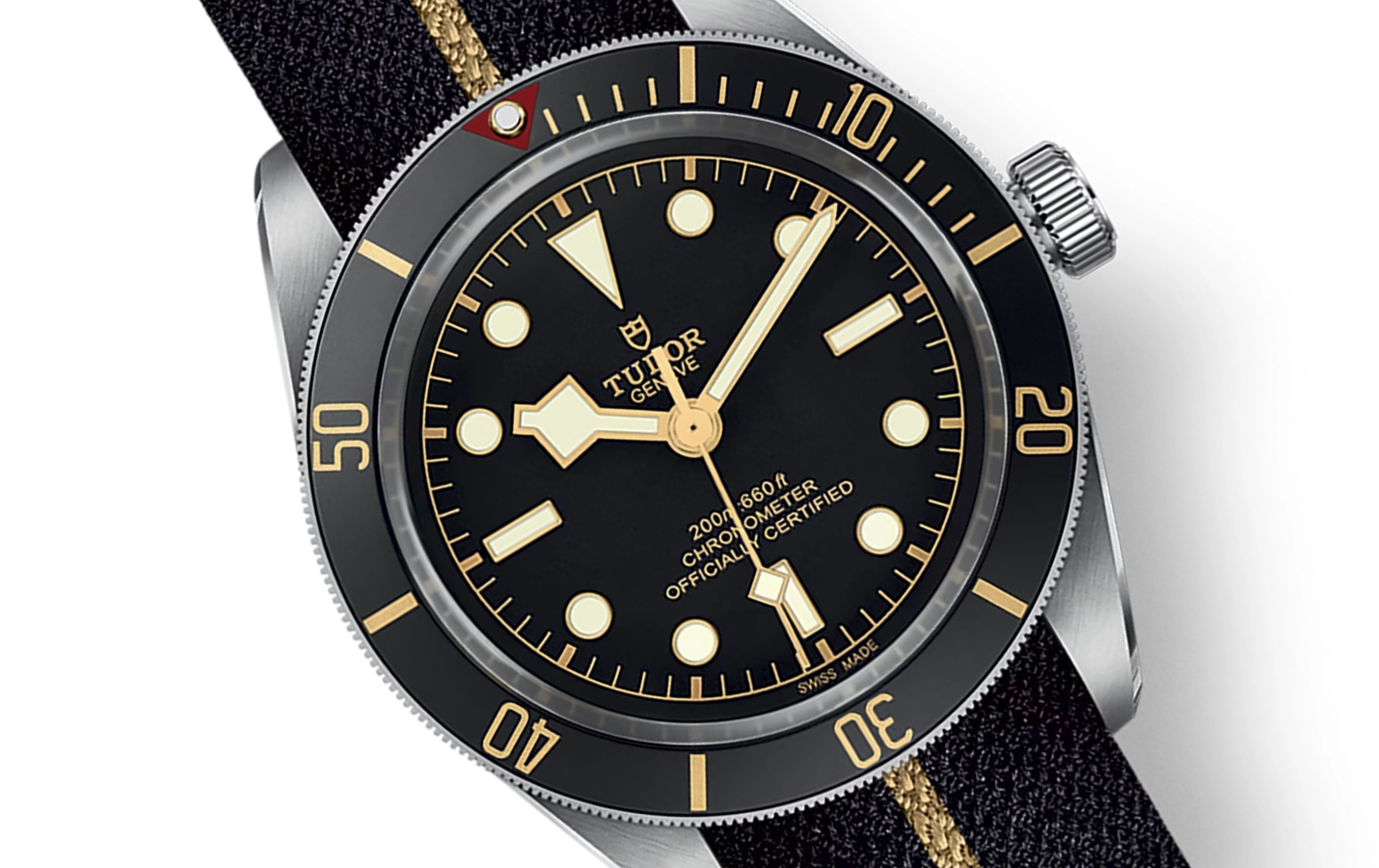 Tudor Black Bay M79030N-0003 WatchProject 21 Shop
